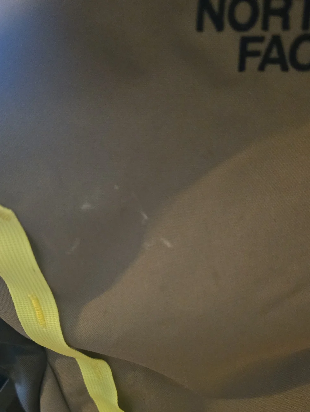 The North Face Vault Backpack